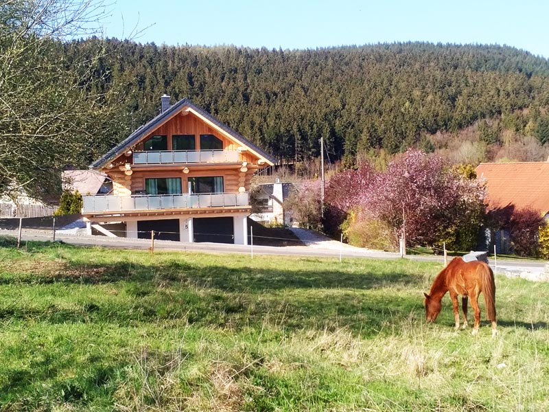Steinbach See Lodges: Urlaub im Blockhaus